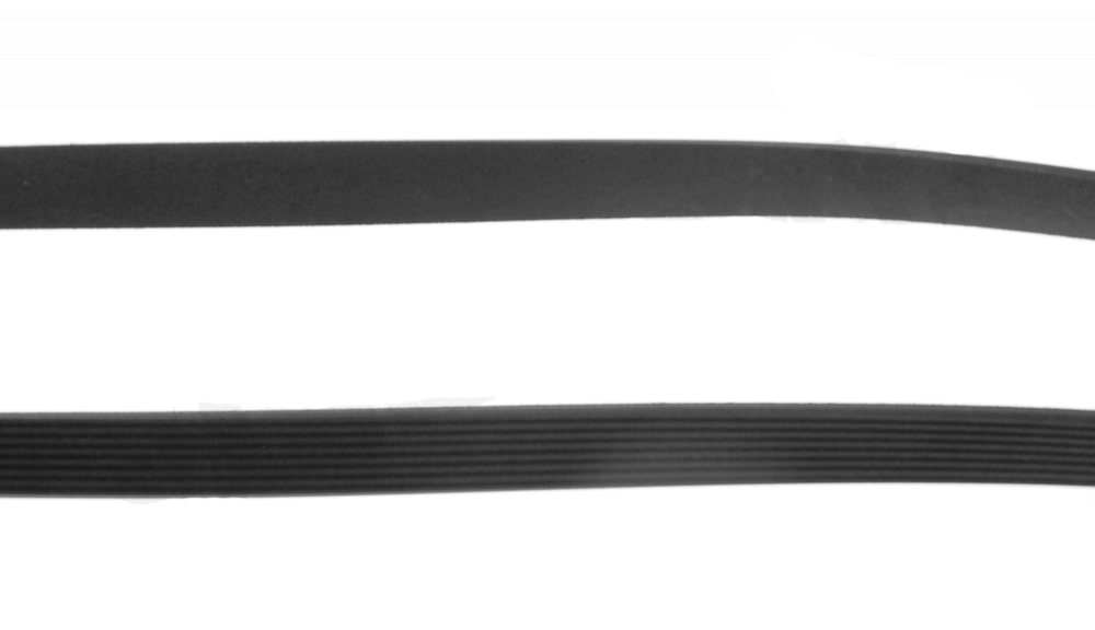 WP8183101 - Genuine OEM Whirlpool Dryer Drum Belt