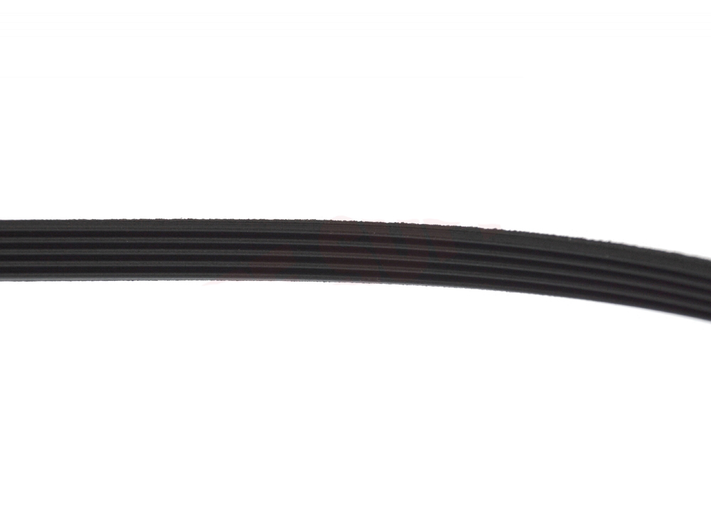 4400EL2001D - Genuine OEM LG Dryer Drum Belt, Poly V