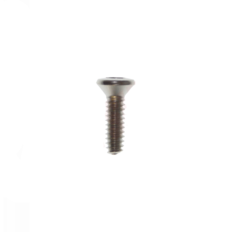 WS01A02398 - Genuine OEM GE Range CKT Burner Screw