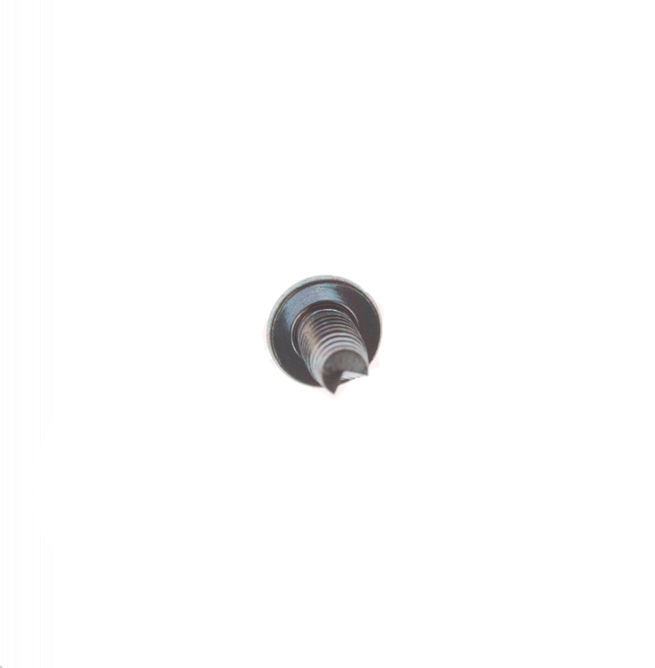 WS01A01098 - Genuine OEM GE Range Oven Screw & Washer