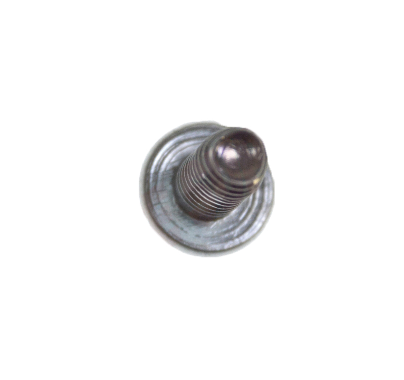 WS01A01008 - Genuine OEM GE Range Trilobular Screw
