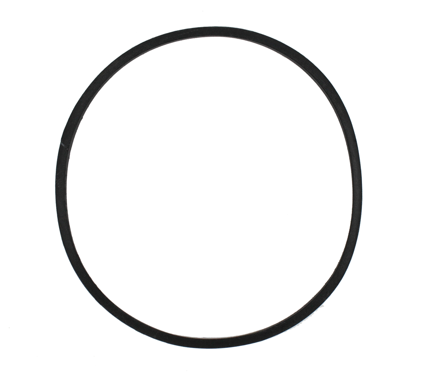 WW01F00345 - Genuine OEM GE Washer Drive Belt